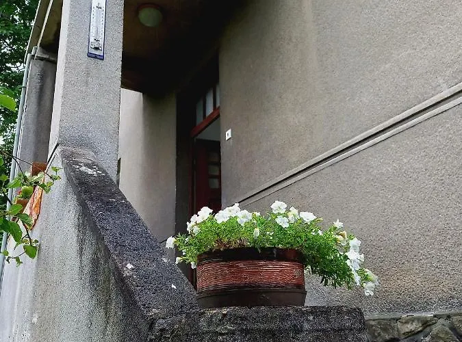 公寓 Kotlarska 德辛
